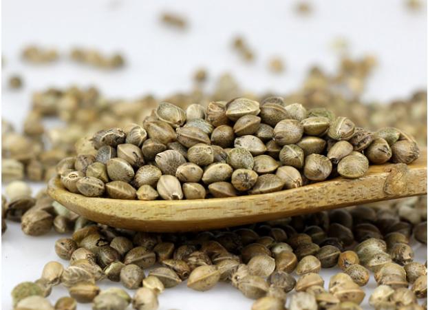 火麻仁多糖黄酮皂苷多糖多酚生物碱挥发油等提取树脂纯化成分分离定制及检测