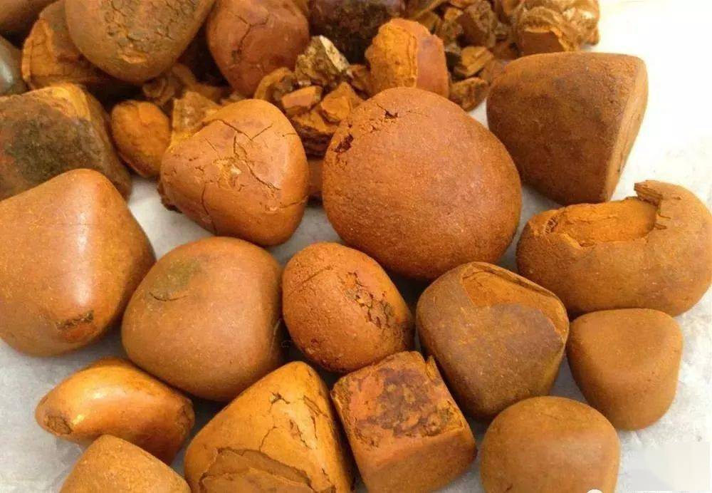 牛黄多糖黄酮皂苷多糖多酚生物碱挥发油等提取树脂纯化成分分离定制及检测