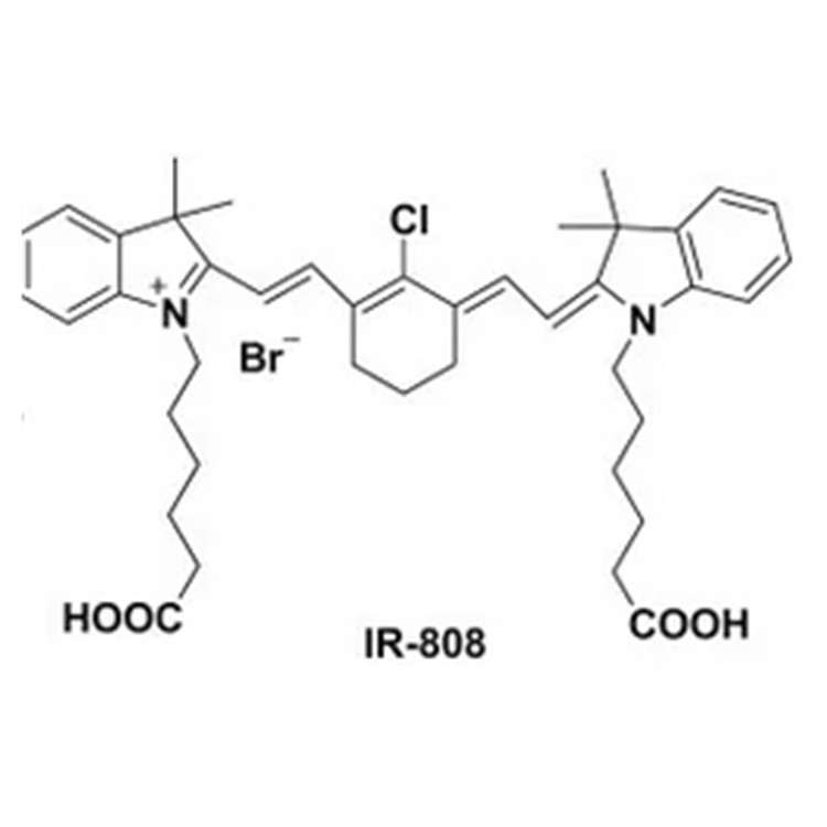 七甲川花菁类化合物，IR-780/808/825