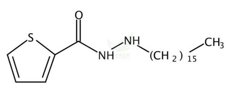 SIS17   2374313-54-7 