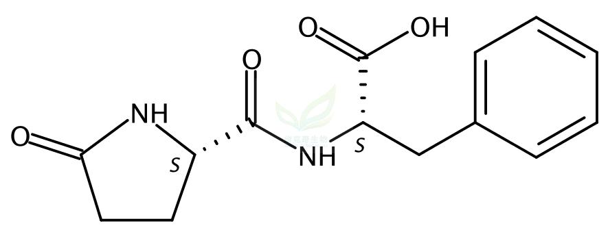 Pyroglutamyl-L-phenylalanine  21282-12-2