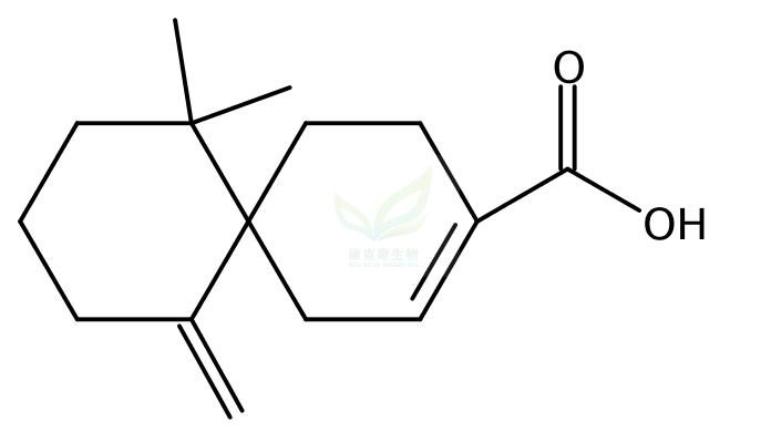 花柏烯酸  β-Chamigrenic acid  1174388-31-8