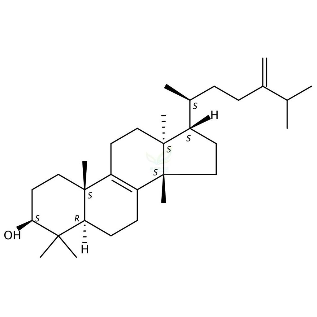 大戟醇  Euphorbol  566-14-3