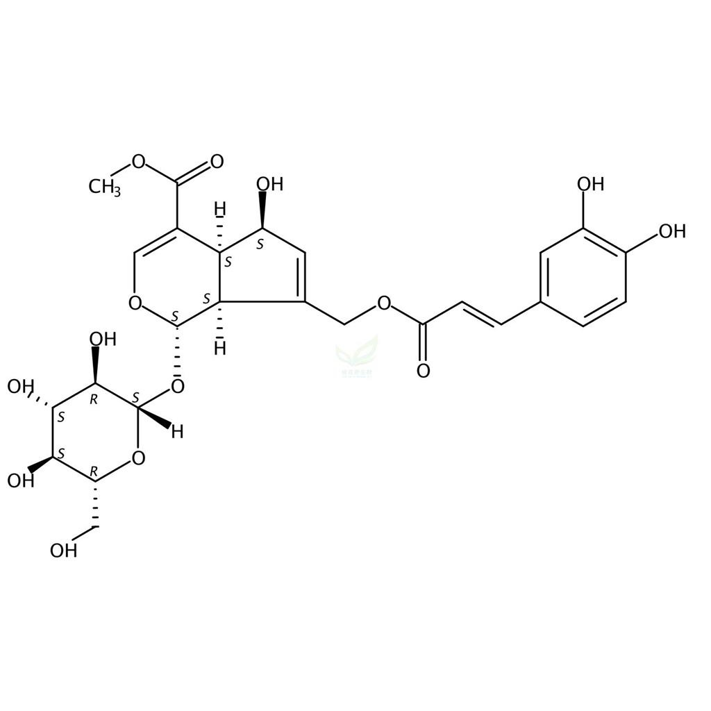 10-O-咖啡酰基-脱乙酰基交让木苷  83348-22-5