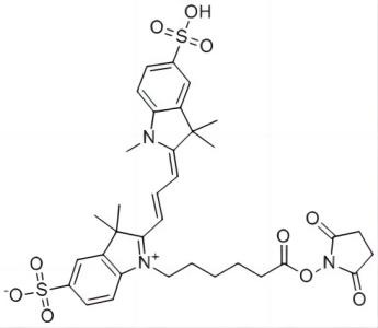 磺酰基Cy3 NHS酯
