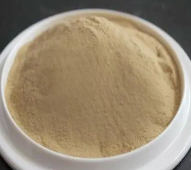 19199-82-7；4-硝基苯酚溴乙酯