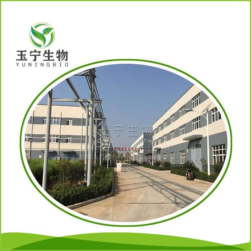 氢溴酸加兰他敏