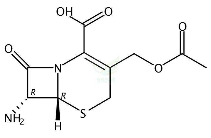 7-氨基头孢霉烷酸  957-68-6