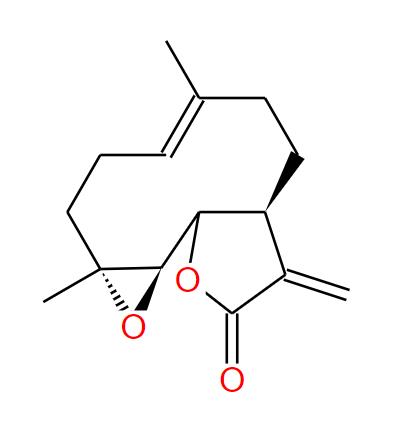 小白菊提取物小白菊内酯