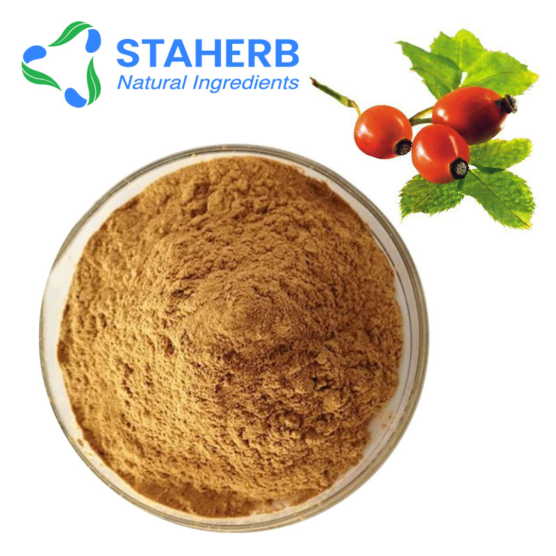 玫瑰果提取物，蔷薇果精