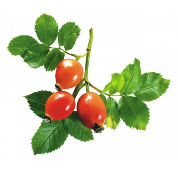 玫瑰果提取物，蔷薇果精