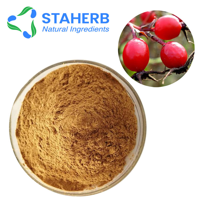 玫瑰果提取物，蔷薇果精