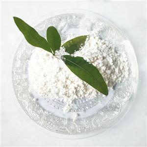 苯佐卡因盐酸盐 23239-88-5