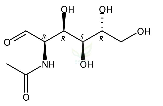N-乙酰化氨基葡萄糖 N-Acetylglucosamine 