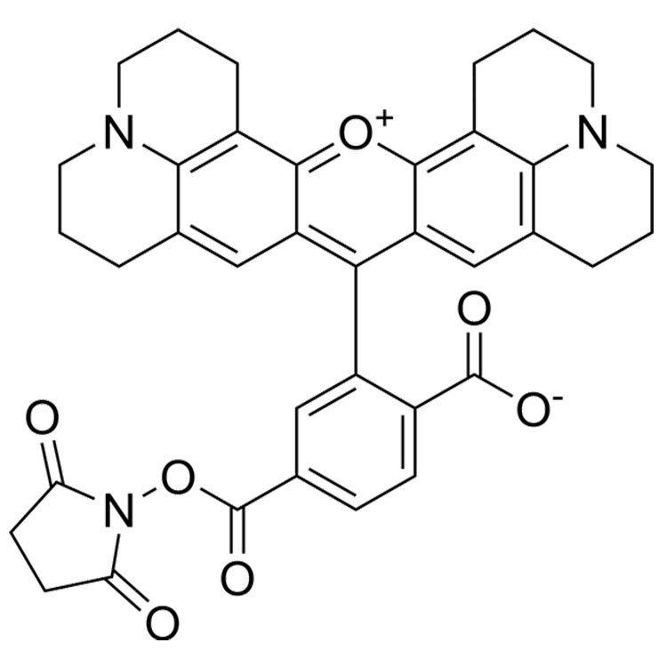 216699-36-4，6-ROX，SE，6-羧基-X-罗丹明琥珀酰亚胺酯