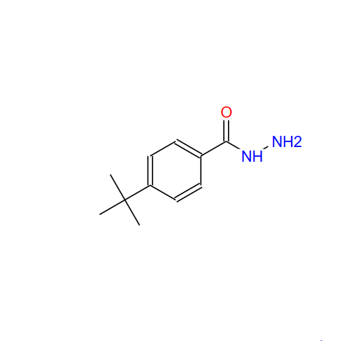 对叔丁基苯甲酰肼