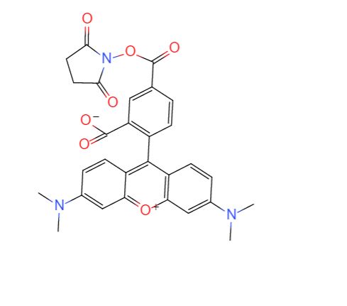 5-羧基四甲基罗丹明琥珀酰亚胺酯