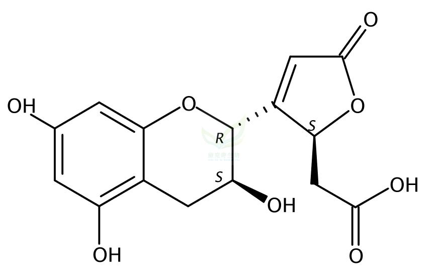 葡酚酮A   Viniferone A  695188-35-3