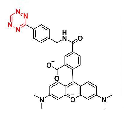 1393381-53-7.jpg 1393381-53-7.jpg