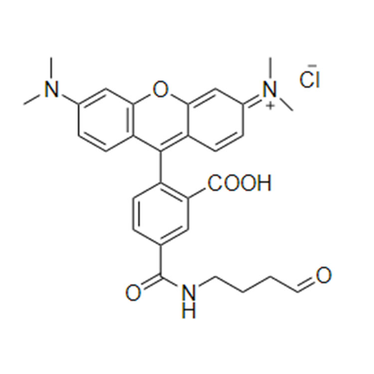 5-TAMRA aldehyde，5-羧基四甲基罗丹明醛基