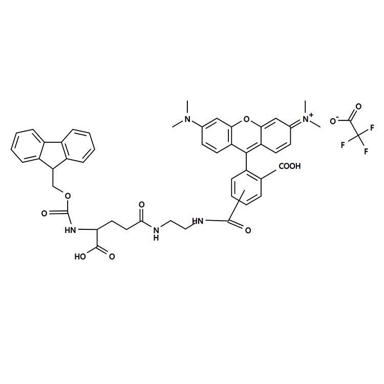 Glu 5-TAMRA，5-四甲基罗丹明标记谷氨酸