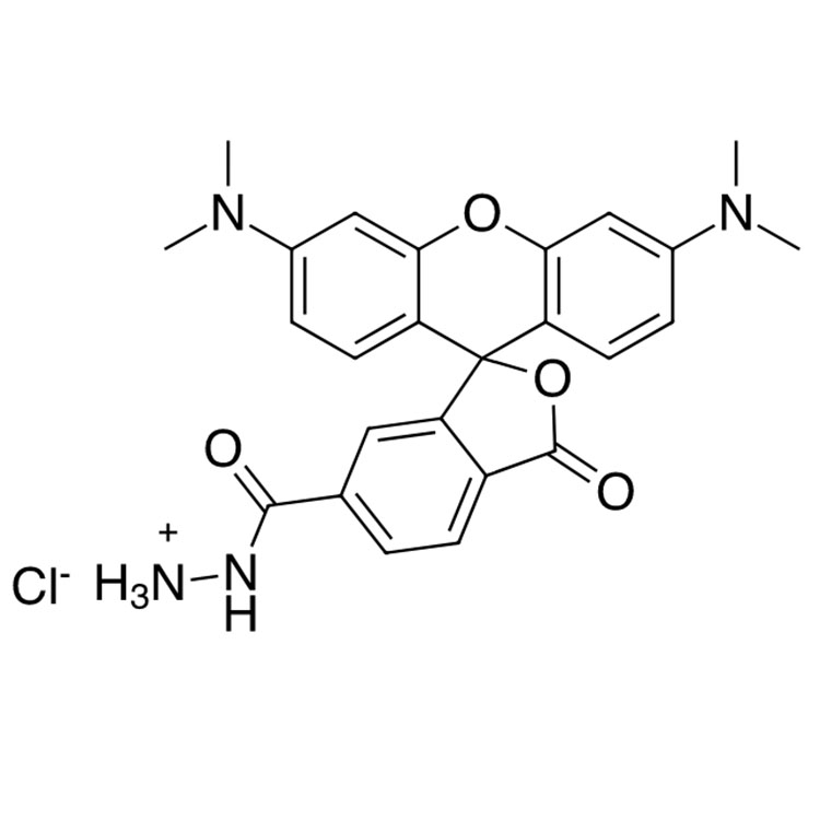 2183440-67-5，6-TAMRA-hydrazide，6-四甲基罗丹明-酰肼
