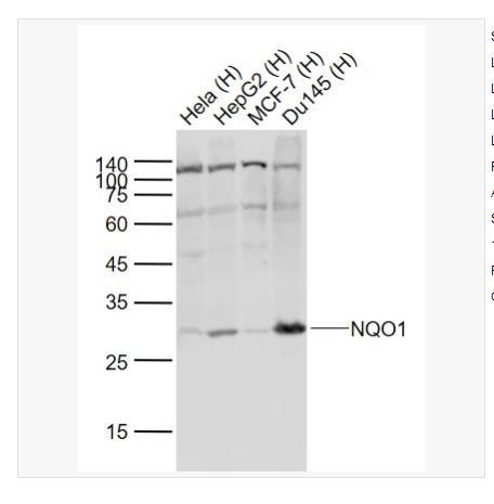 搜狗截图23年06月05日1036_21.png 搜狗截图23年06月05日1036_21.png
