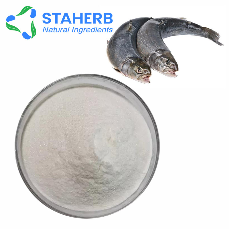 鱼安定，于宝安，MS-222