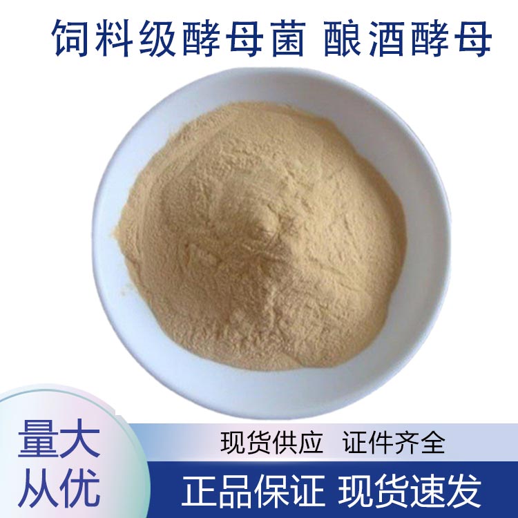 供应饲料级酵母菌 酿酒酵母