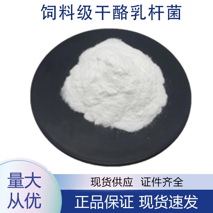 供应饲料级干酪乳杆菌