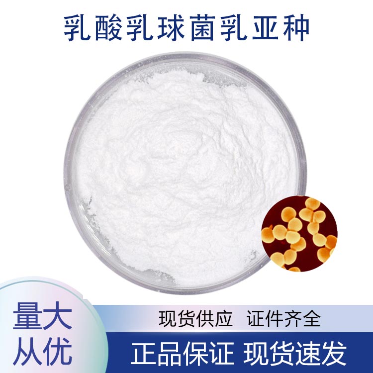 供应乳酸乳球菌乳亚种