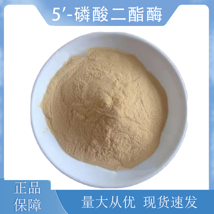 5'-磷酸二酯酶