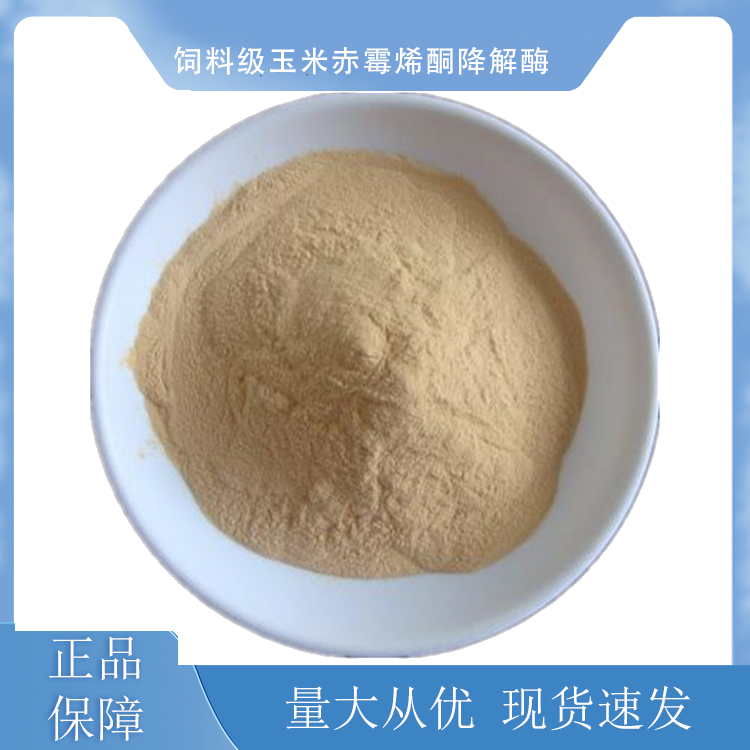 饲料级玉米赤霉烯酮降解酶