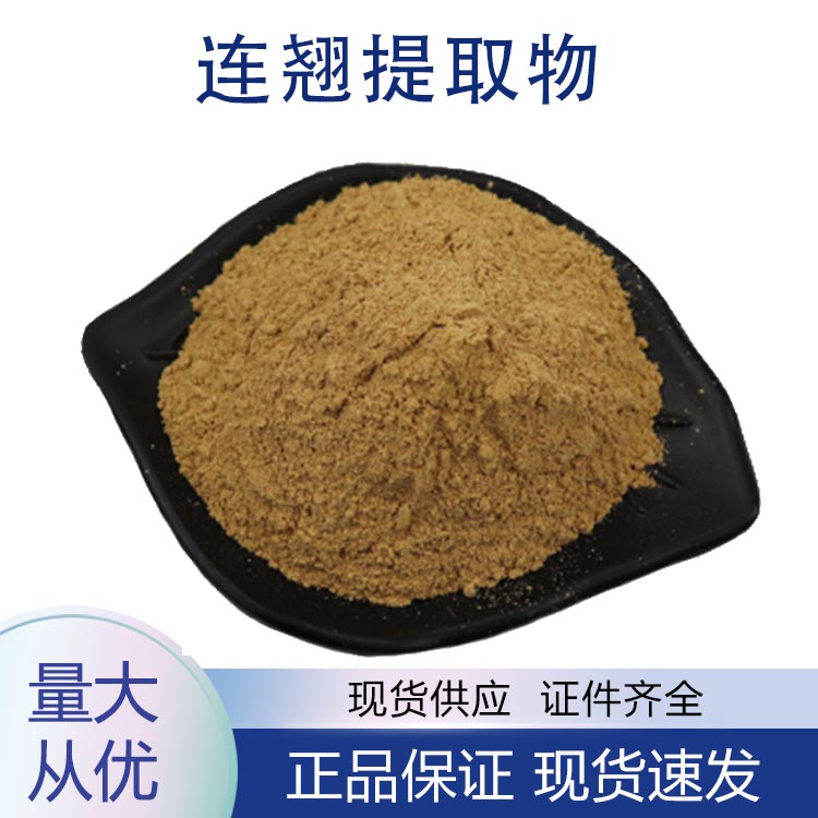 供应连翘提取物