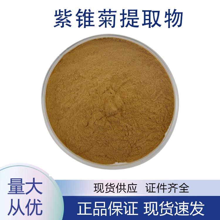 供应紫锥菊提取物