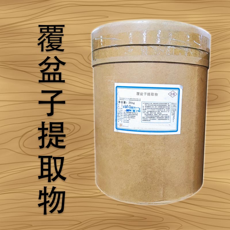 供应覆盆子提取物