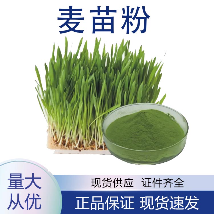 供应麦苗粉