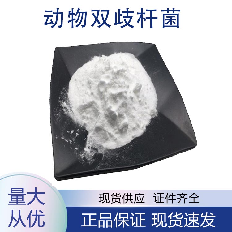 供应动物双歧杆菌动物亚种 动物双歧杆菌