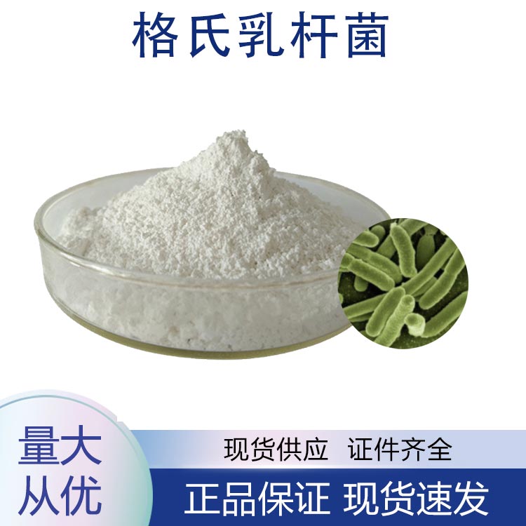 供应格氏乳杆菌