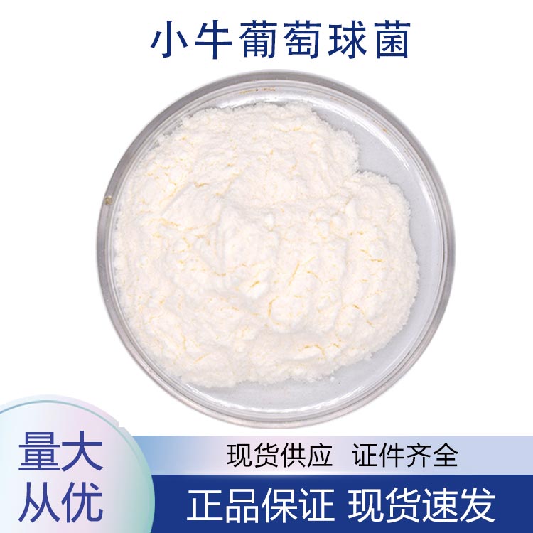 供应小牛葡萄球菌