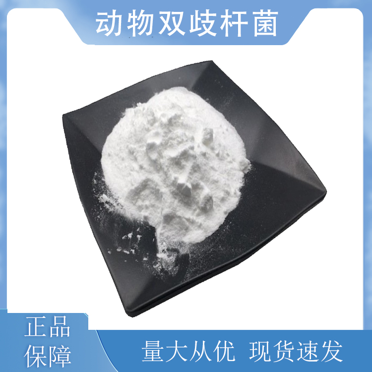 动物双歧杆菌动物亚种 动物双歧杆菌