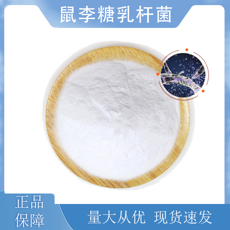 鼠李糖乳酪杆菌 鼠李糖乳杆菌