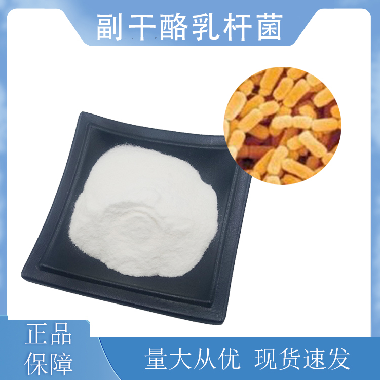 副干酪乳酪杆菌 副干酪乳杆菌