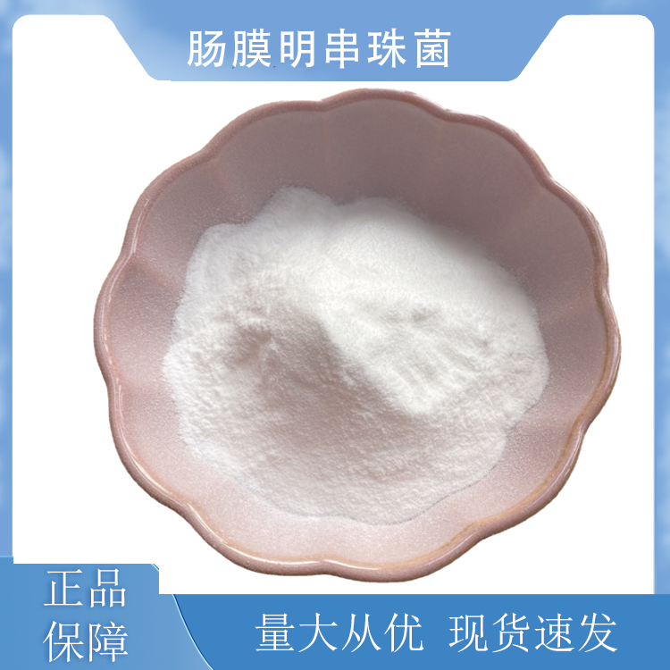 肠膜明串珠菌