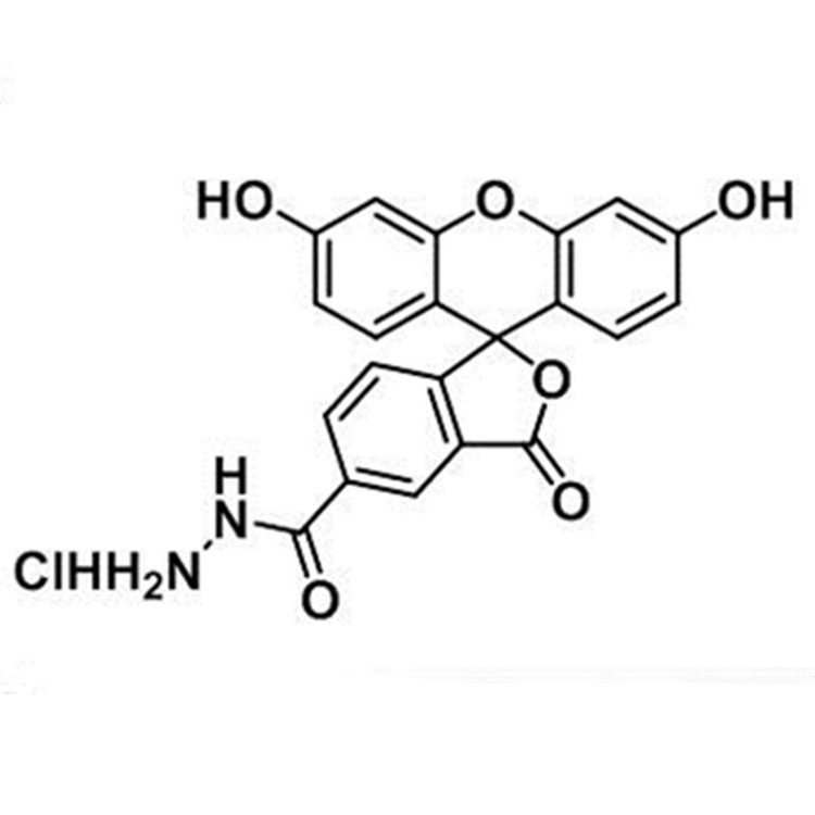2183440-64-2，5-FAM hydrazide HCl，5-羧基荧光素-酰肼盐酸盐