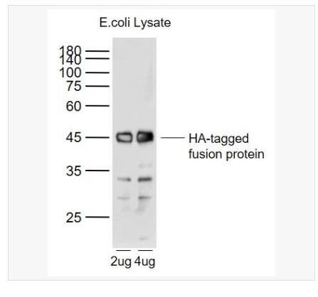 搜狗截图23年06月09日0919_44.png 搜狗截图23年06月09日0919_44.png