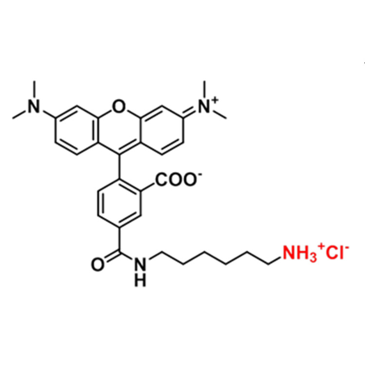 5-TAMRA amine，2158336-48-0，5-TAMRA NH2，5-四甲基罗单明氨基
