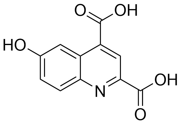 6-hydroxyquinoline-2,4-dicarboxylic acid 