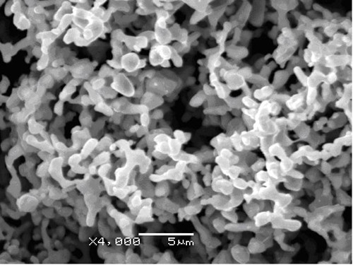 超细三氧化二铬