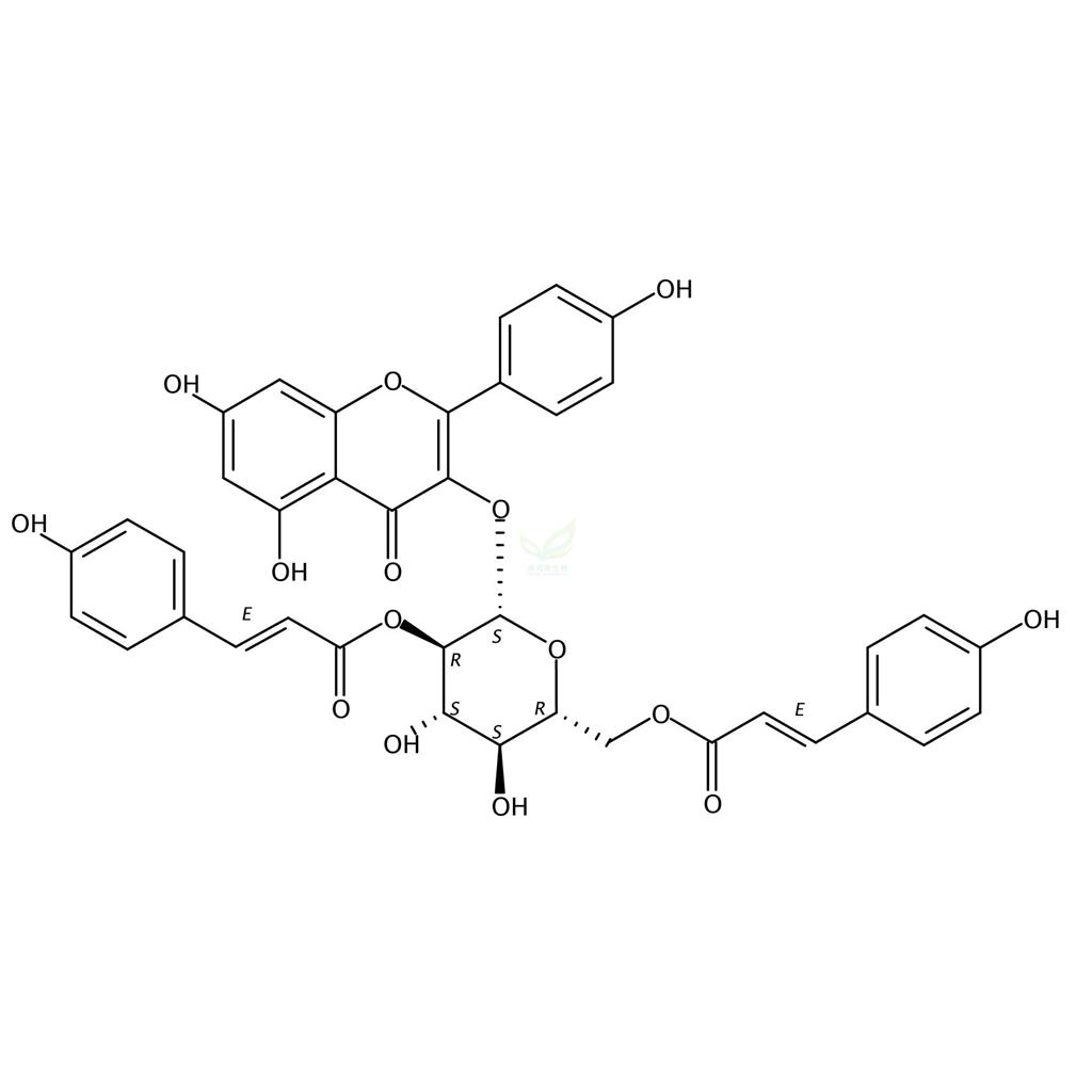 山奈酚-3-O-(2′,6′-二-O-反式-对-香豆酰基)-beta-D-吡喃葡萄糖苷